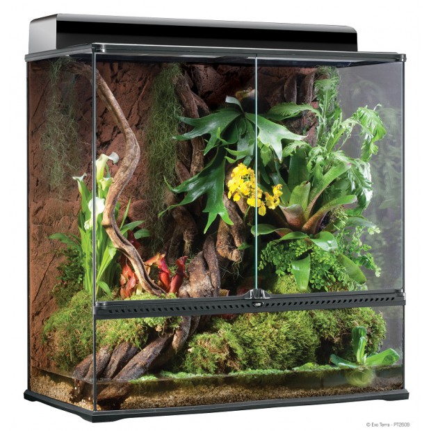 Le terrarium Exo Terra