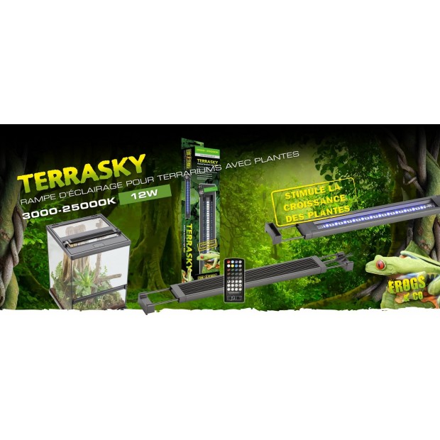 Terrasky